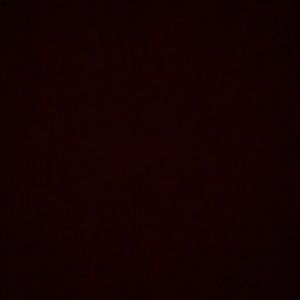 Meet your Posher, Xavier